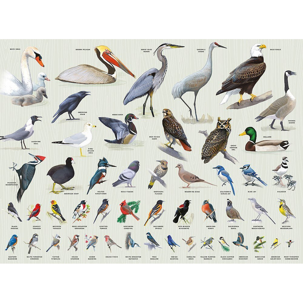 Backyard Birding 1000 Piece Jigsaw Puzzle