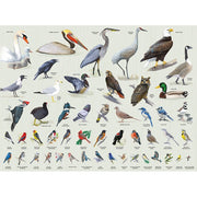 Backyard Birding 1000 Piece Jigsaw Puzzle