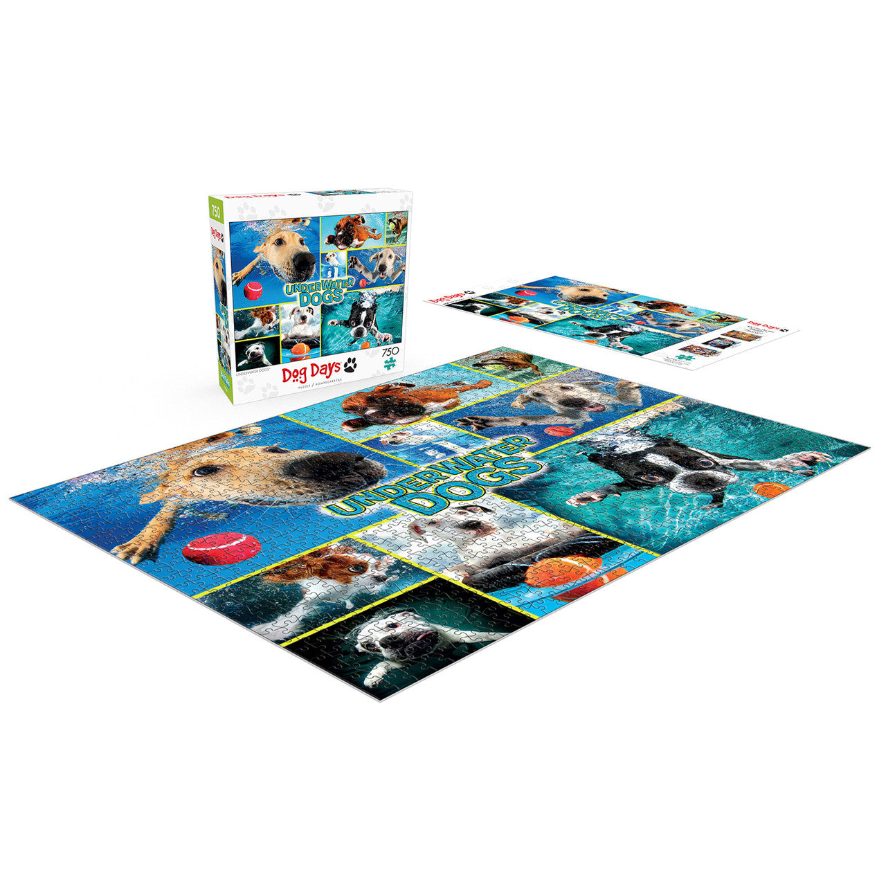 Underwater Dogs From Dog Days Collection