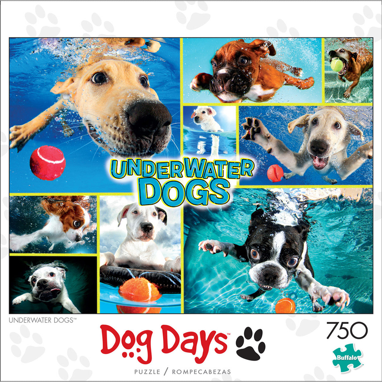Underwater Dogs From Dog Days Collection