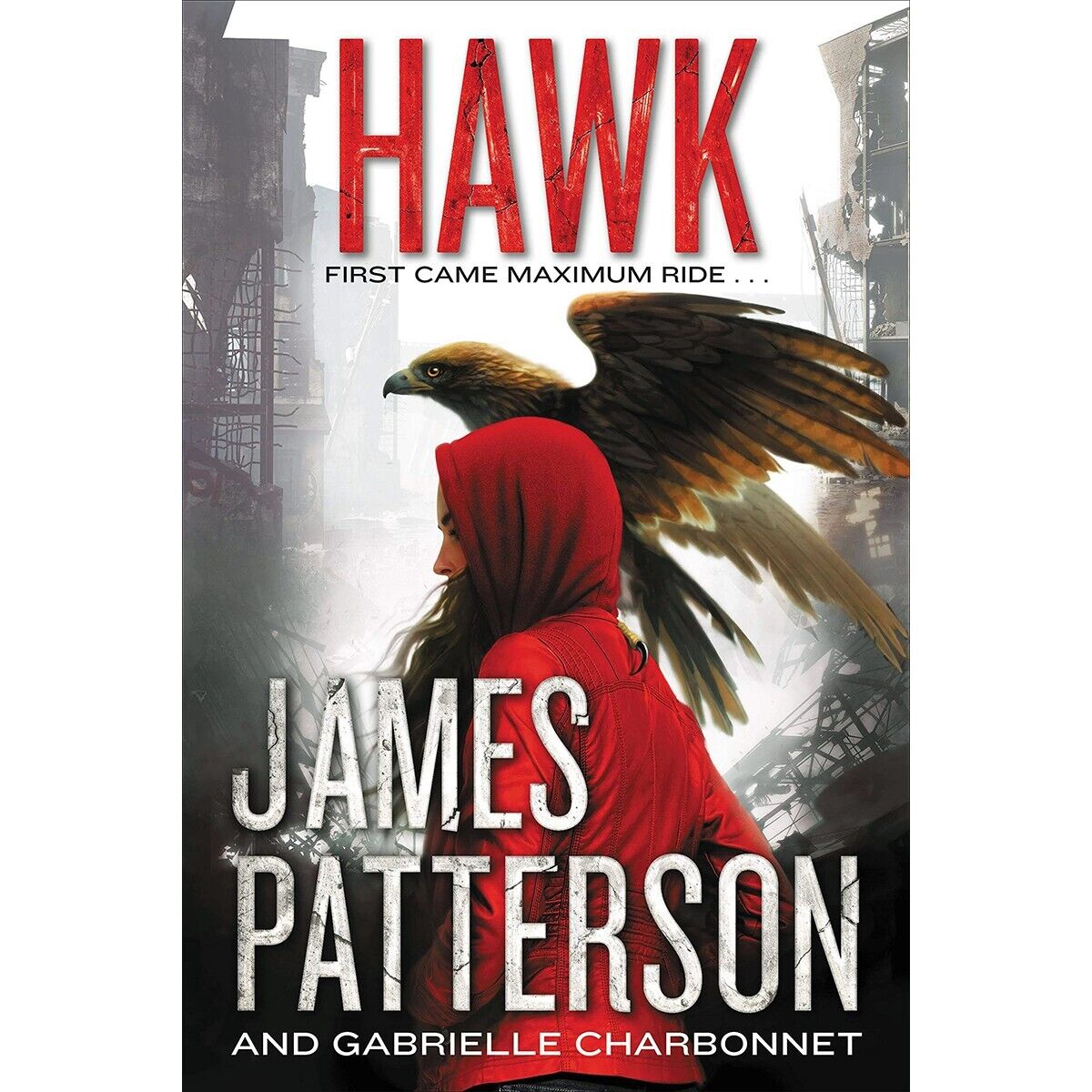 Hawk by James Patterson