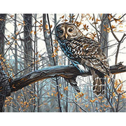 Paintworks Wise Owl Paint By Numbers
