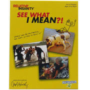 Relative Insanity See What I Mean Hilarious Party Game