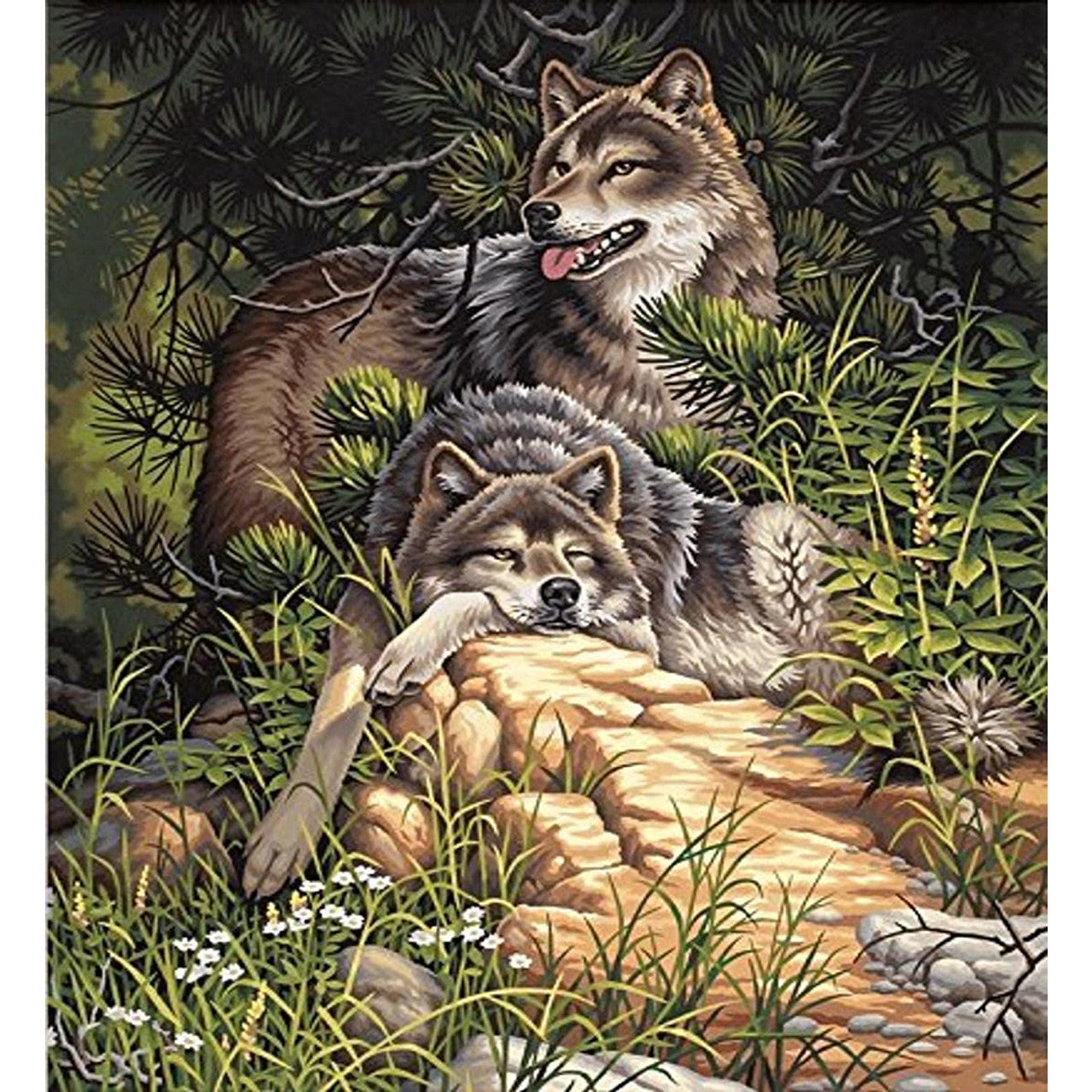 Dimensions Paint Works Wild and Free Wolves Paint by Numbers