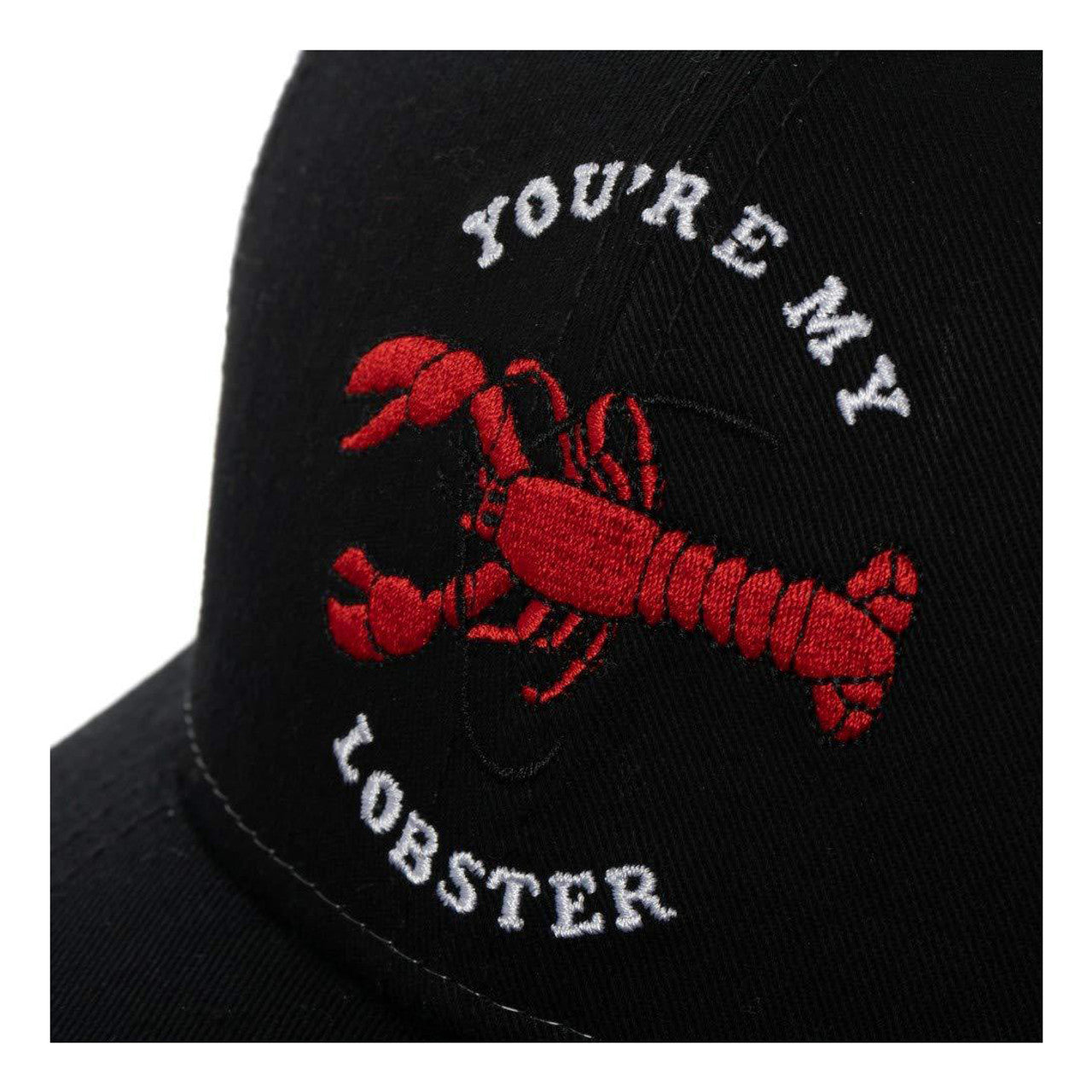Friends You Are My Lobster Trucker Snapback Hat