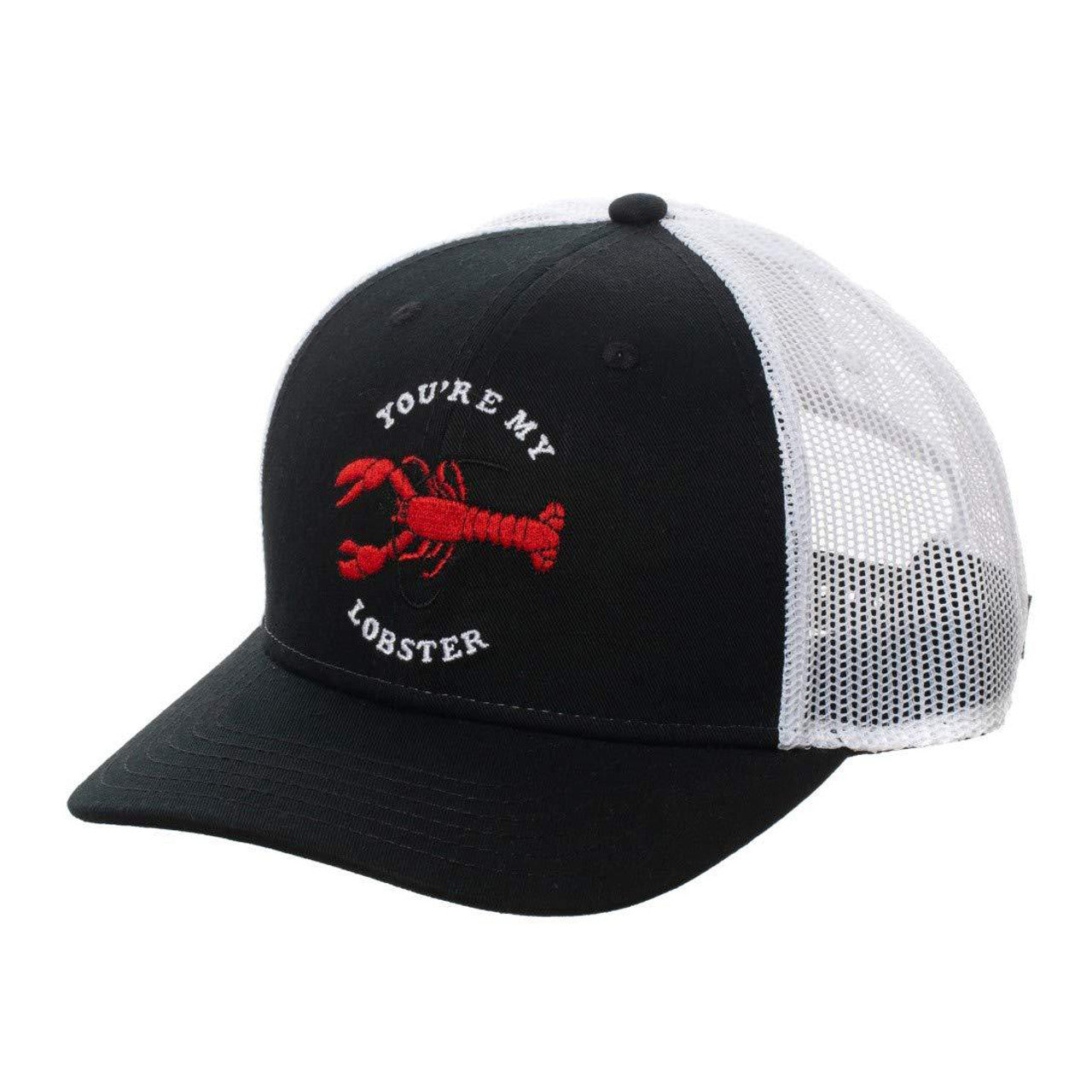 Friends You Are My Lobster Trucker Snapback Hat